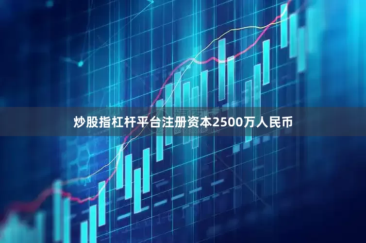 炒股指杠杆平台注册资本2500万人民币