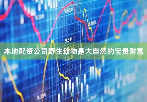 本地配资公司　　野生动物是大自然的宝贵财富